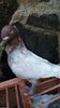 IMG-20161126-WA0210
