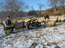 Picture 098