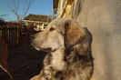 CIMG0237