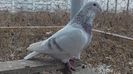 20161212_140445(0)
