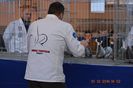 15318001_1153193204795558_9175257781294037359_n