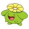 skiploom
