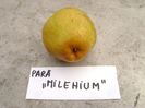 Para Milenium 4