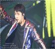 ╳ 484 days l 14.12.2016 ╳