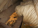 Picture 018