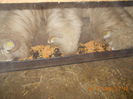 Picture 019