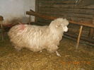 Picture 033