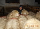 Picture 089