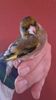 IMG-20161217-WA0000