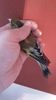 IMG-20161217-WA0002