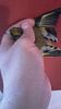IMG-20161217-WA0003