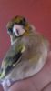IMG-20161217-WA0012