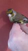 IMG-20161217-WA0013