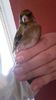 IMG-20161217-WA0014