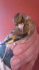 IMG-20161217-WA0015