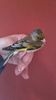 IMG-20161217-WA0016