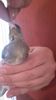 IMG-20161217-WA0018