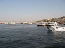 Picture 215