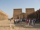 Picture 230