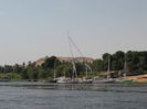 Picture 290