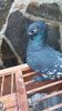 IMG-20161126-WA0168