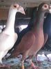 Photo0166