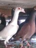 Photo0167
