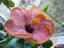 P1300887