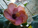 P1300894