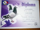 NEPOATA -0079452/2012