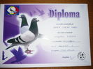 FICA - 0889049/2012