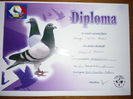 FICA- 0889049/2012