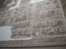 Picture 077
