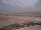 Picture 220