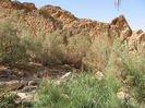 Picture 282