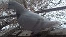 20161230_112751(0)