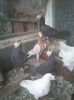 Photo0193