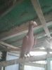 Photo0194