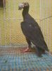 Photo0198