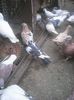 Photo0211