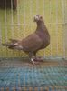 Photo0220