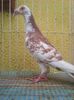 Photo0236