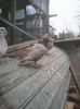 Photo0225