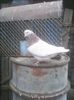 Photo0230
