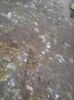 Photo0243