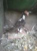 Photo0244