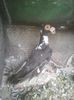 Photo0245