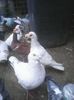 Photo0252