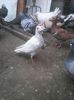 Photo0253