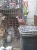 Photo0254